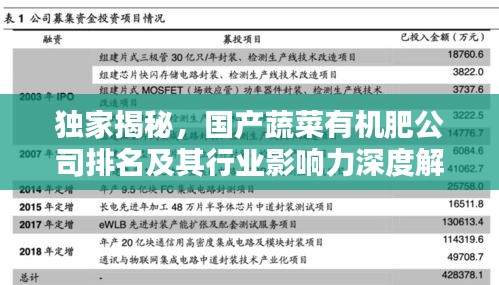 獨家揭秘，國產蔬菜有機肥公司排名及其行業(yè)影響力深度解析