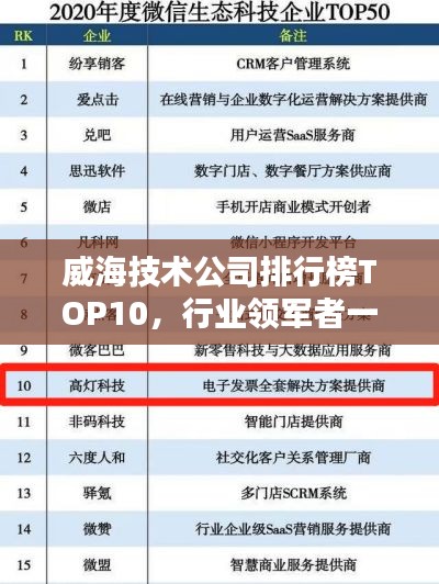 威海技術(shù)公司排行榜TOP10，行業(yè)領(lǐng)軍者一覽